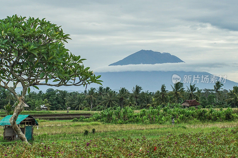 巴厘岛阿贡山景观