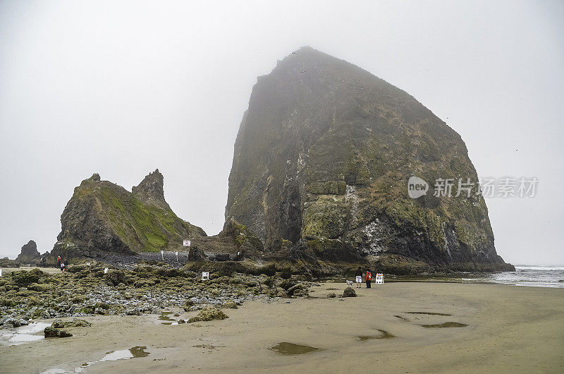 俄勒冈坎农海滩和附近的干斯塔克岩石