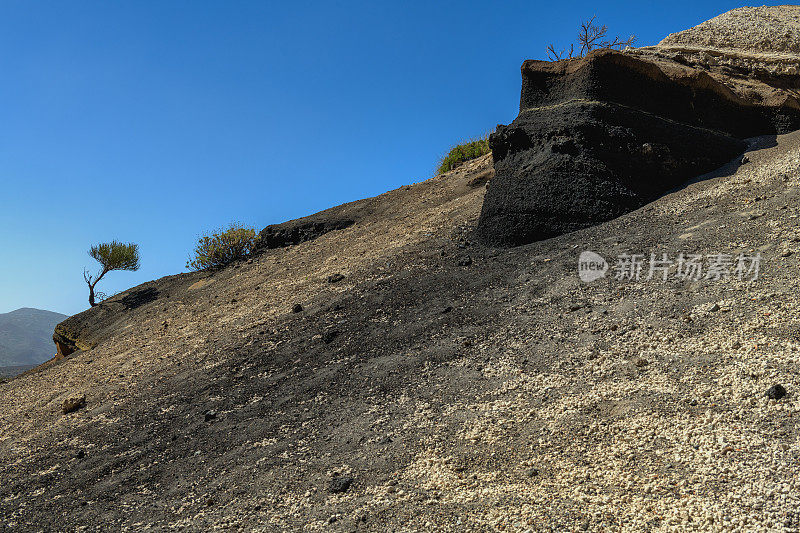 西班牙特内里费岛埃尔特多火山前的盆景