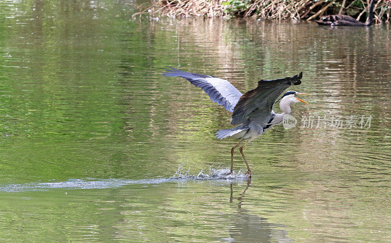 拖水