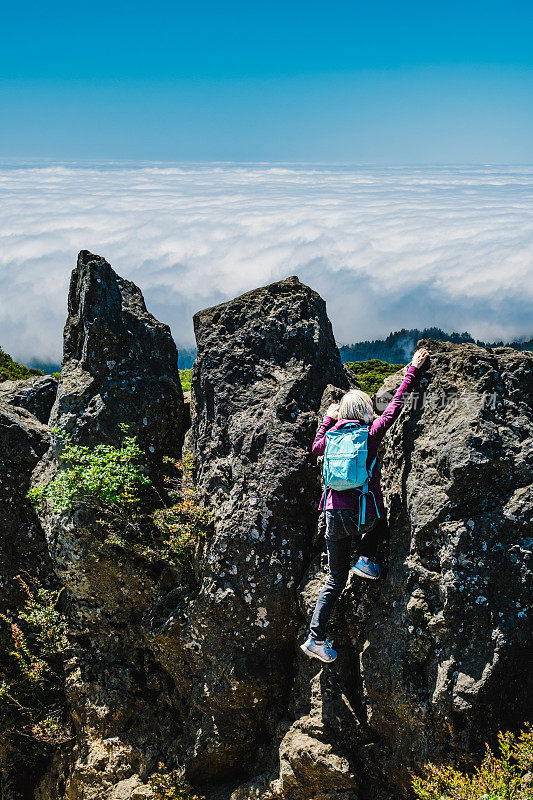 Tamalpais山攀登，马林县，美国加利福尼亚州