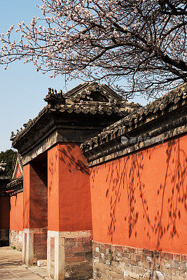 春天北京紫禁城