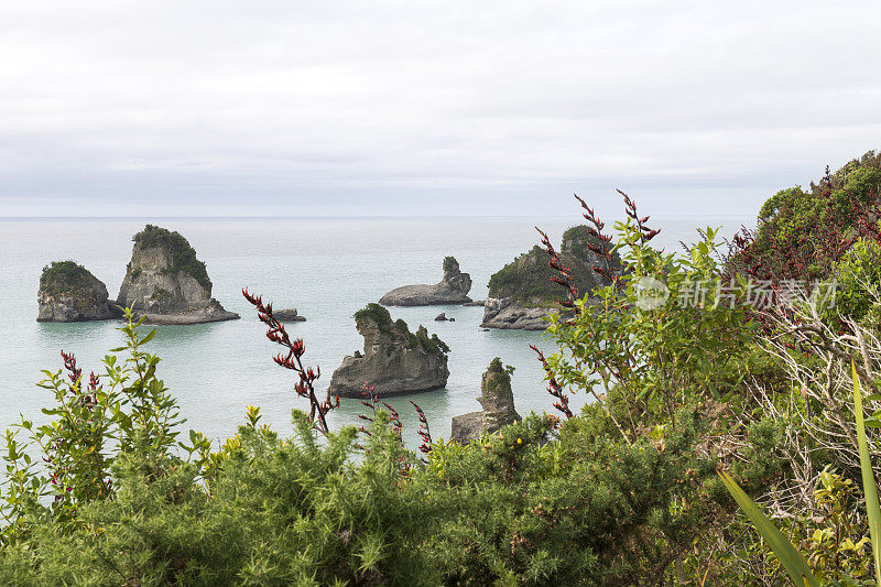 沿伊丽莎白角步行道的风景