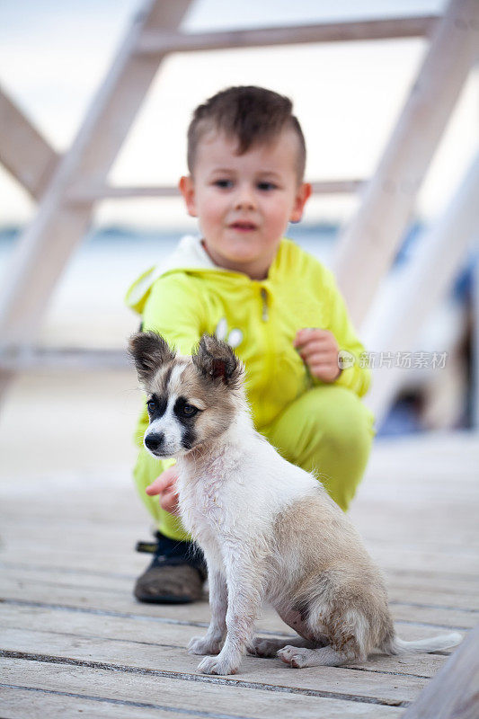 可爱的小男孩和他的小狗。保护动物。