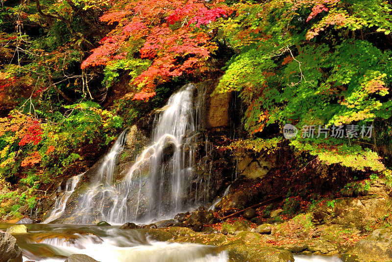 瀑布和秋色的中野百山公园，黑石，青森县