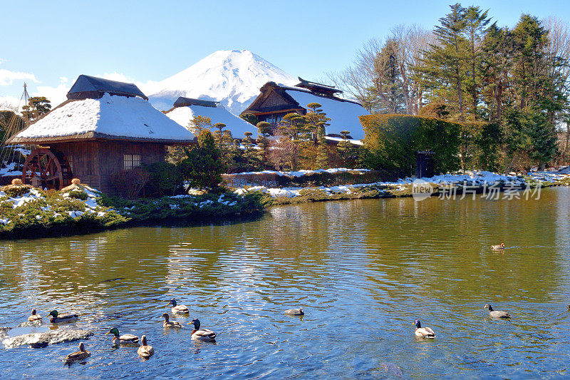 白雪覆盖的富士山，摄于山梨县大野hakkai