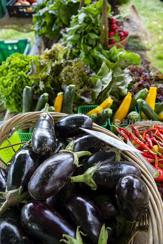 茄子和新鲜蔬菜在农贸市场