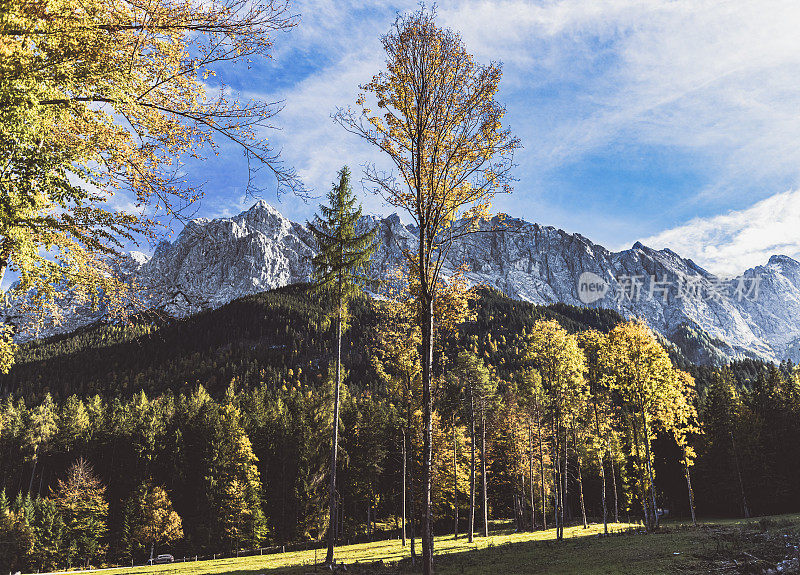 在德国Garmisch-Partenkirchen郁郁葱葱的树叶中，令人叹为观止的Eibsee湖