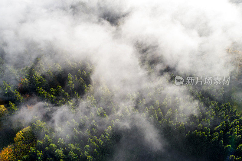 雾和云在土努斯山脉林地上空-鸟瞰图