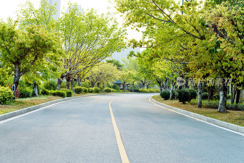 沥青公路穿过绿色森林