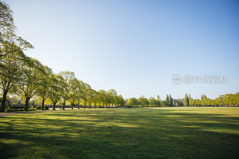 日出时分的英国公园