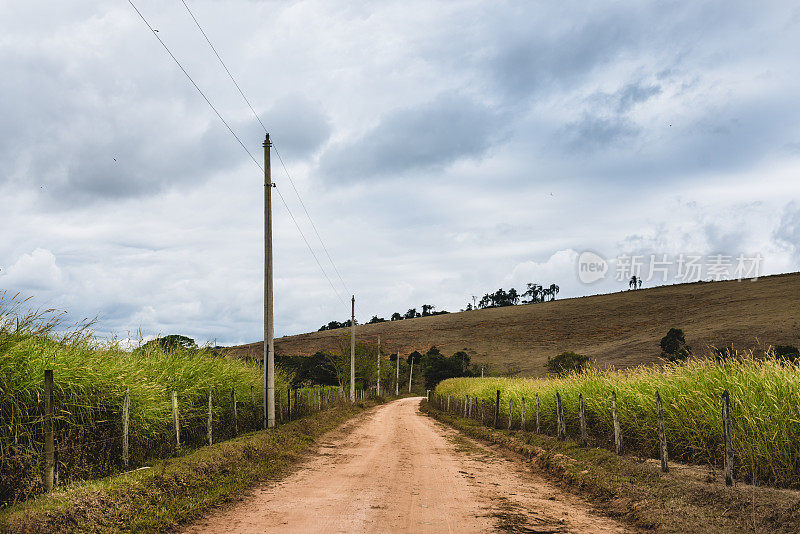 巴西的乡村公路