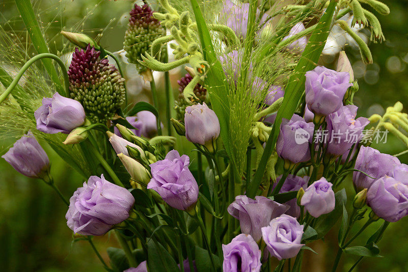 淡紫色花朵的花束