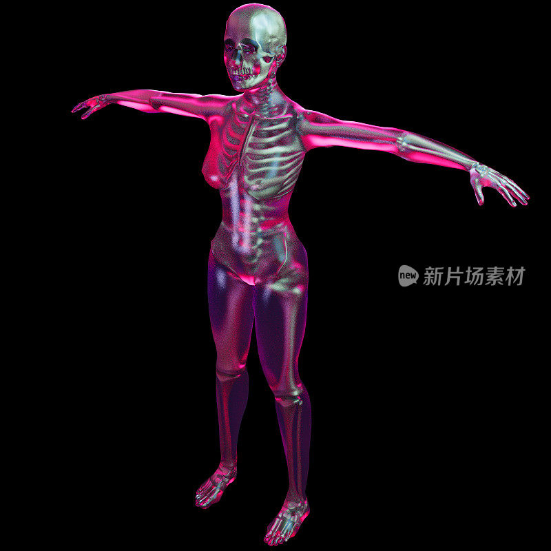 抽象数字插图从三维渲染的彩色女性身体姿态的概念未来主义的骨头显示头骨内部。