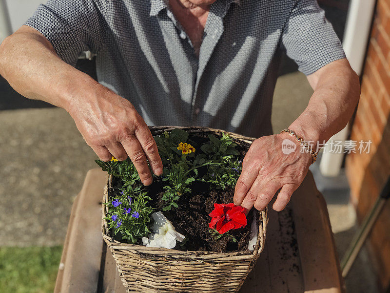 种花在户外