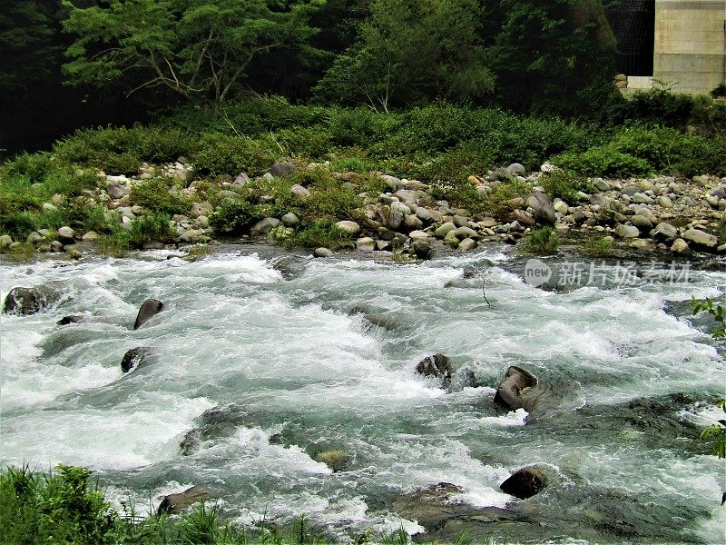 日本。7月。多雨的季节。湍急的河水在山间流淌