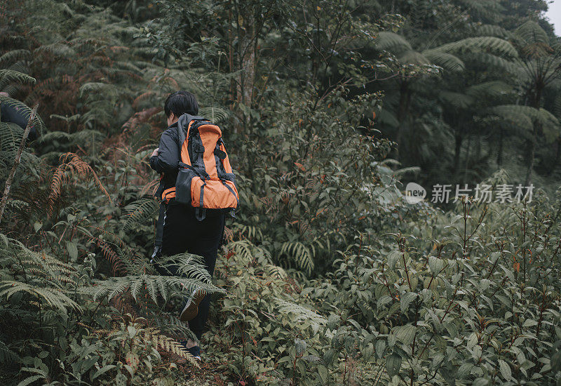 亚洲华人女性徒步旅行者探索苔藓森林在卡梅伦高地行走在后视镜