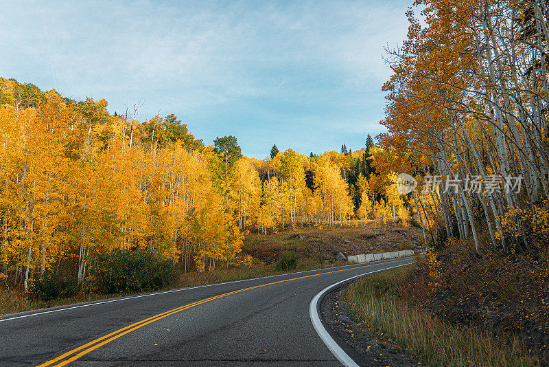 在65号高速公路上的司机的观点，在科罗拉多西部靠近大汇合点的国家森林风景小路上的秋天的颜色