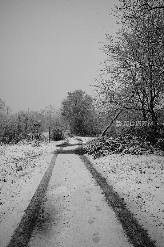 白雪覆盖的乡村小路