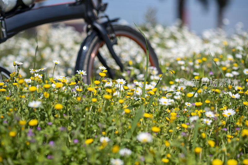 在野花和草地上折叠自行车