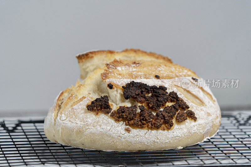 手工面包:用甜麦芽装饰的新鲜烘焙的全麦面包