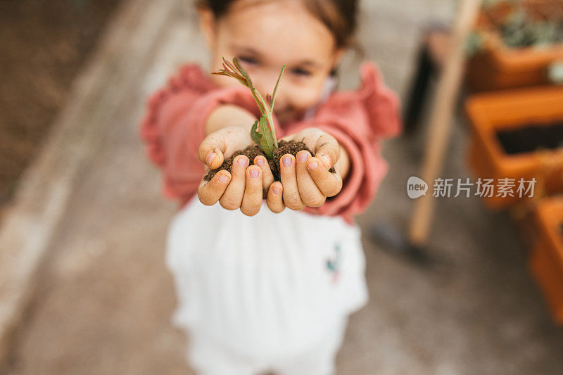 孩子们照料着幼苗。手扶小树