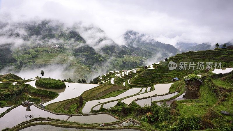 中国贵州，雨中的梯田