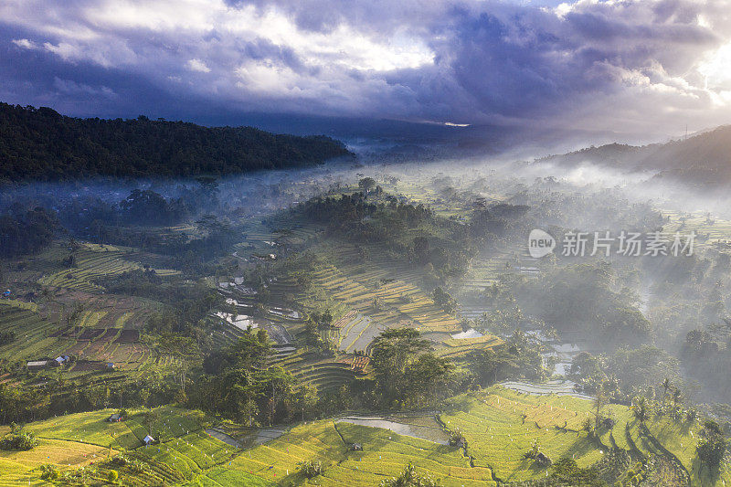 印度尼西亚巴厘岛塞德门村的空中景观