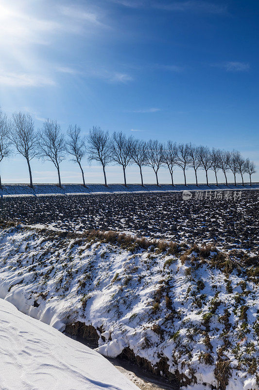 荷兰泽兰省的冬季景观，积雪覆盖的田野