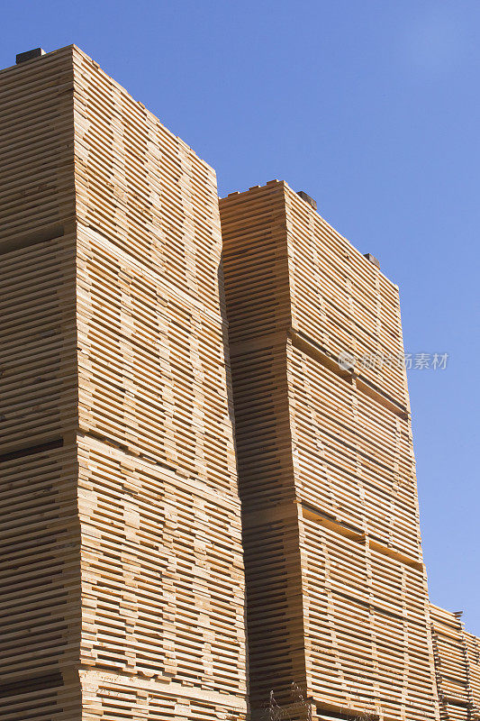 高大的木桩。木材行业。