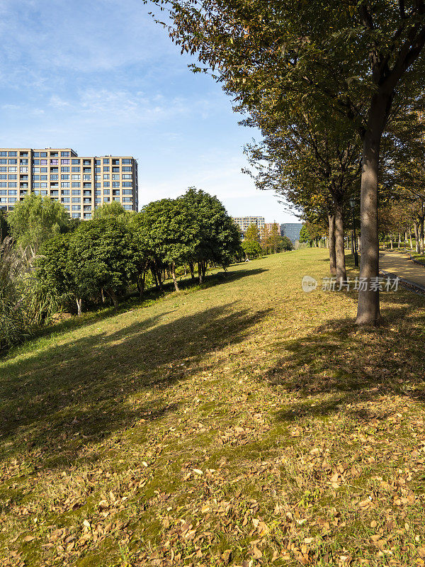 住宅楼前的草地