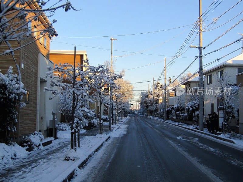 日本。1月。雨夜后的阳光明媚的早晨。