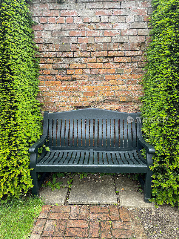 暗色木凳的形象在阴凉的花园露台区域，紫杉树篱，破碎的红色砖墙