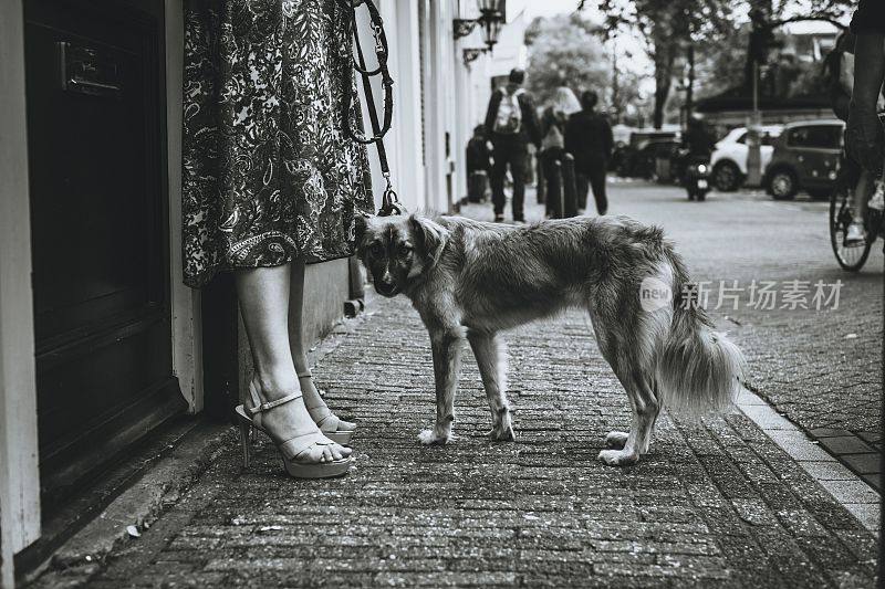 一条狗在街上的灰度镜头，一个女人手里拿着狗绳
