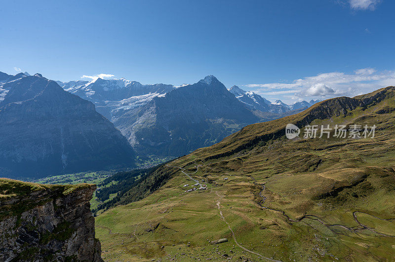 美丽的白雪覆盖的瑞士阿尔卑斯山耸立在翠绿的瑞士格林德沃山谷