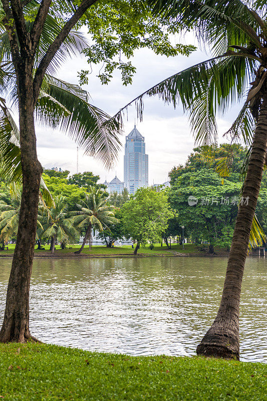 隆皮尼公园周围的建筑、树木和池塘景观。泰国曼谷市中心。