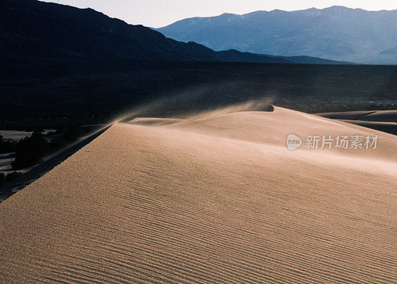 加利福尼亚州死亡谷国家公园的牧豆树平原沙丘。