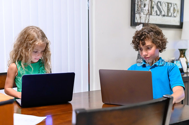 可爱的4岁多种族女孩和她的哥哥在室内使用笔记本电脑