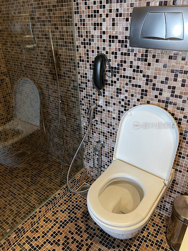 棕色马赛克瓷砖地板和墙壁酒店浴室的形象与玻璃淋浴间，壁挂式电话除了白色陶瓷马桶，手淋浴坐浴盆头附件，脚踏箱，重点在前景