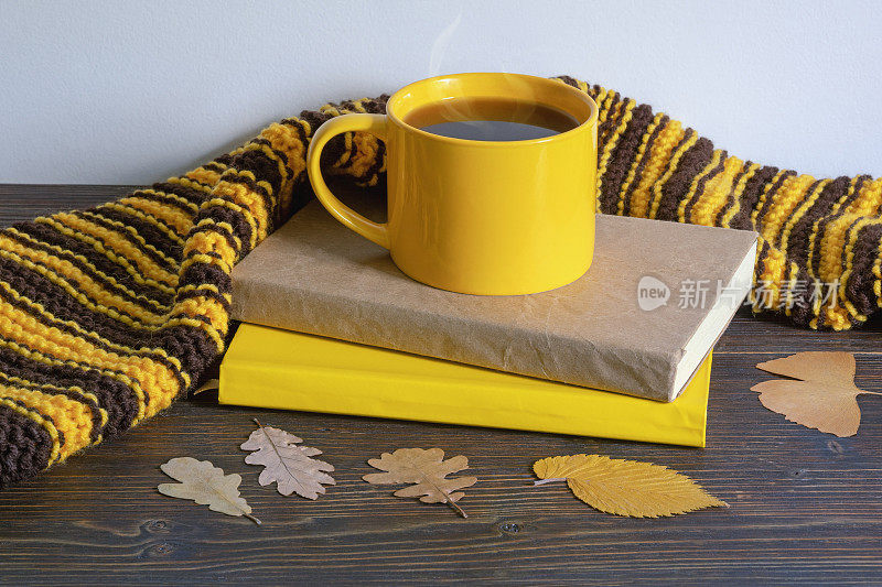 秋天的概念。书，温暖的围巾，黄色的叶子和一杯咖啡。本空间