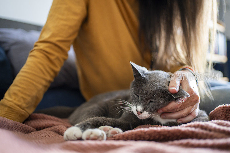 可爱的主人手里抱着她熟睡的猫的头