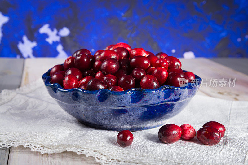 蓝色的碗里装着新鲜的蔓越莓。成熟的大果越橘，也有大的蔓越橘，美国蔓越橘或熊果。