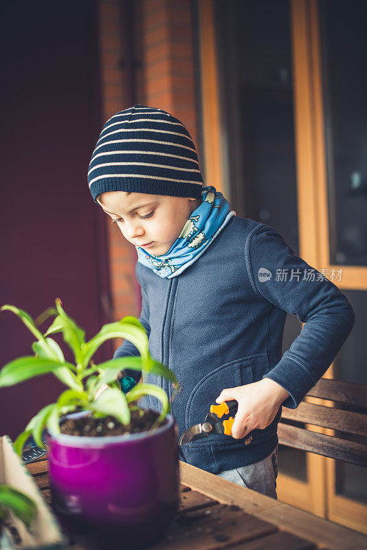 小男孩爱护一株植物