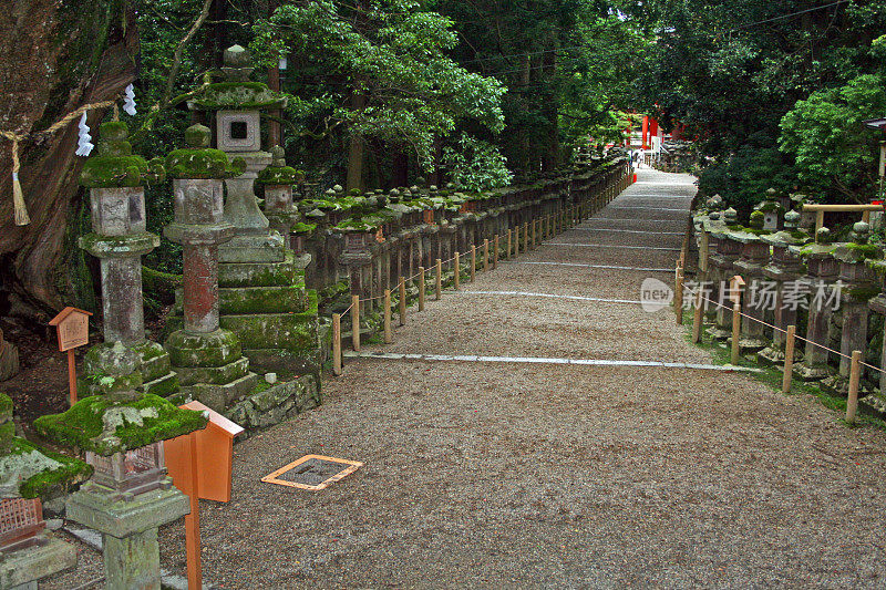 日本:奈良公园