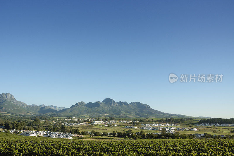 Stellenbosch山我