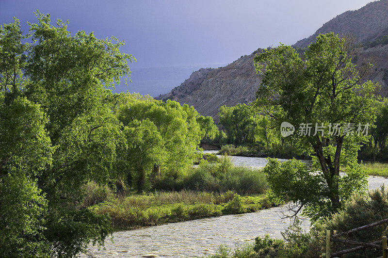 风景优美的河流和杨树在春天