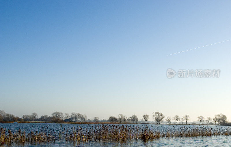 荷兰景观:芦苇淹没了IJssel河