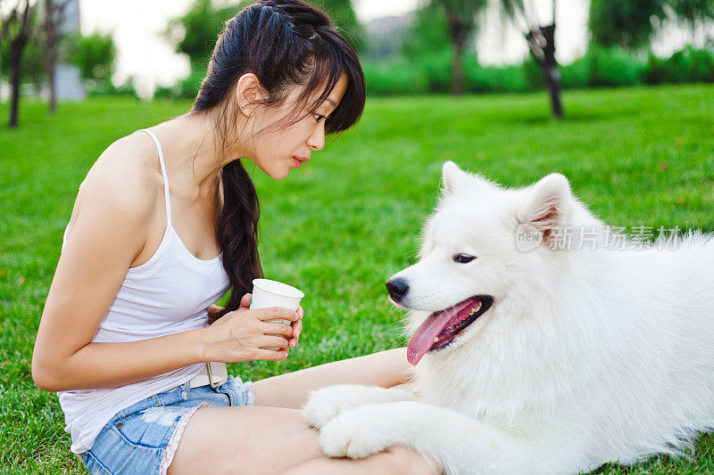 女孩和她的萨摩耶狗在草地上玩