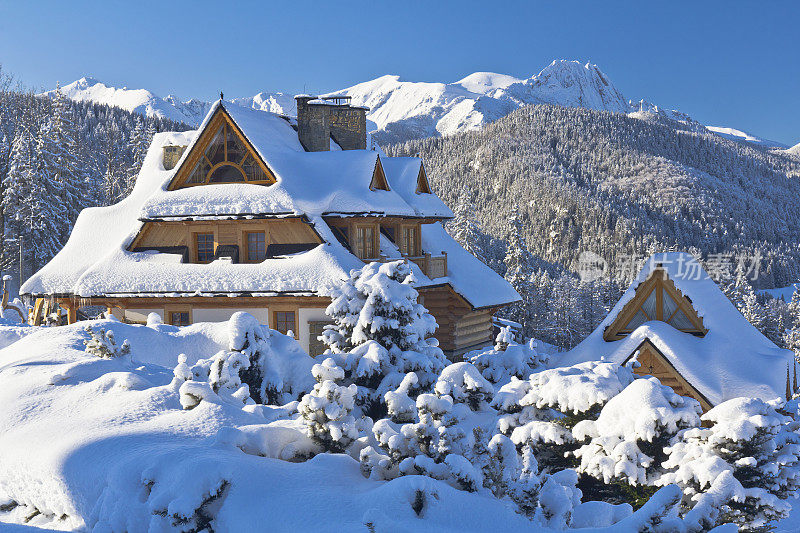 田园诗般的度假山间小屋在雪中