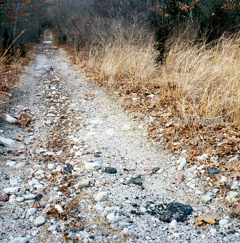 坎坷崎岖的路